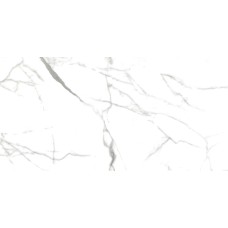 Porcelanato Delta - Carrara Cristal - 53x106cm - Polido